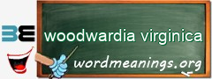 WordMeaning blackboard for woodwardia virginica